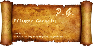 Pfluger Gergely névjegykártya